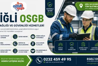 İş sağlığı ve güvenliği hizmetleri